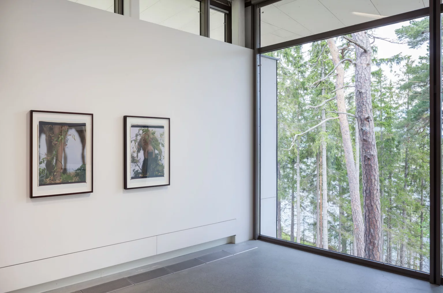 william-wegman-hello-nature-installationsvy-02-2013