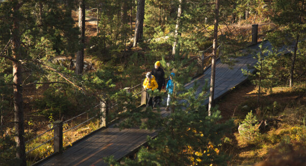 En familj går längs en träpromenad genom en skog, omgiven av höga träd och solljus som filtrerar genom grenarna, som påminner om en tipspromenad bland steniga klippor och tallskogar.