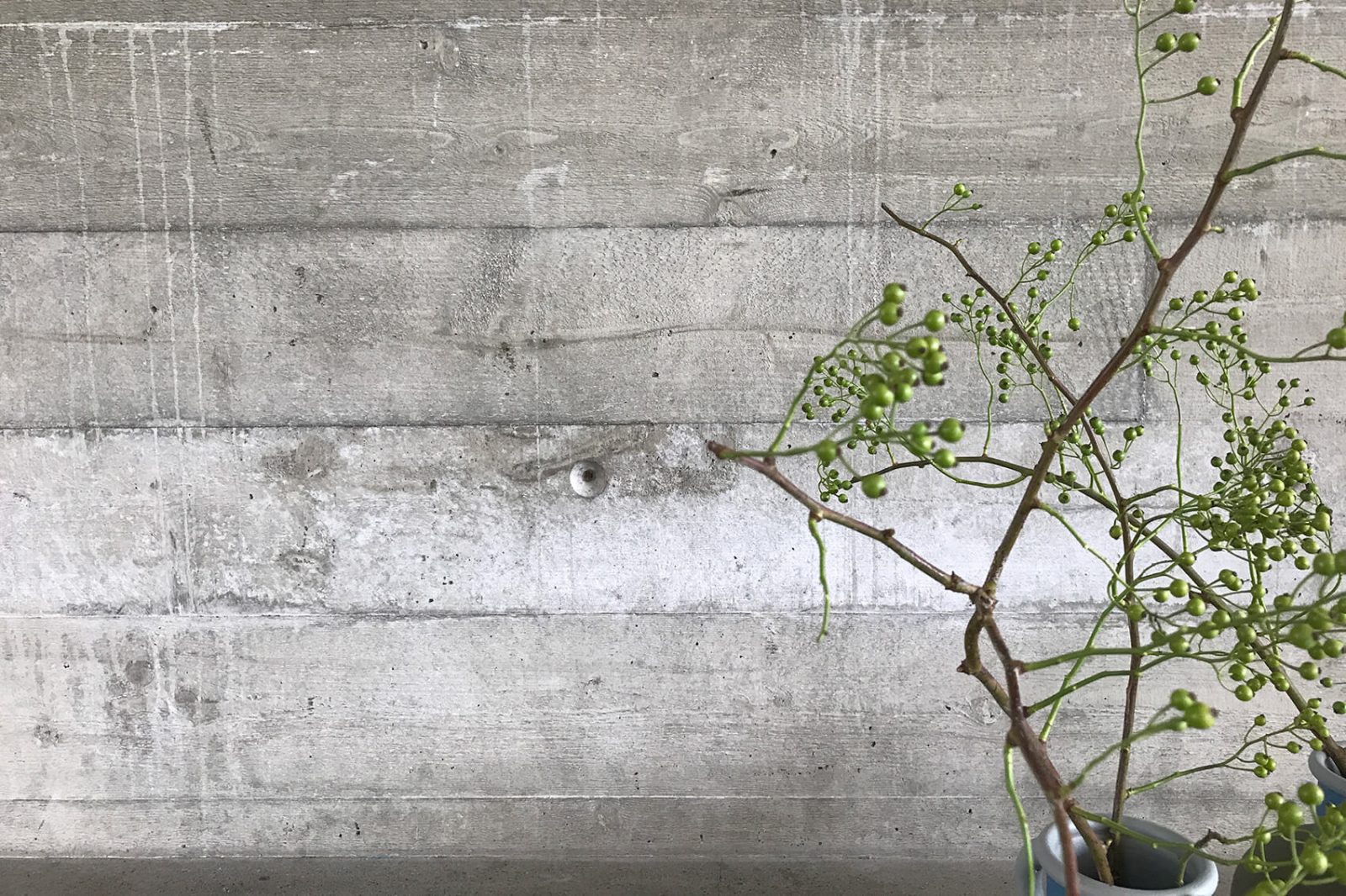 Platsgjuten betongvägg med växt framför