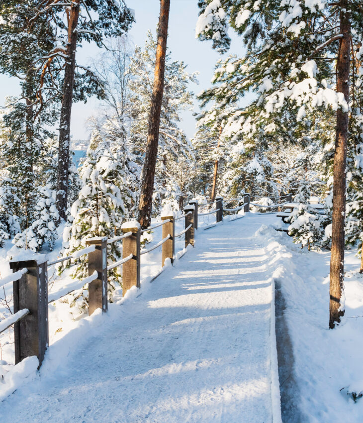 Vinterbild på en snötäckt spång i solljus.