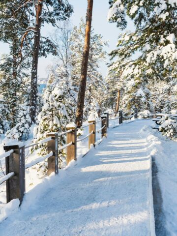 Upplev julen på Artipelag när du vandrar längs en snötäckt trästig, omsluten av en fridfull skog. De solbelysta träden och nysnön skapar en av de sex stämningsfulla upplevelser under den klarblå himlen.