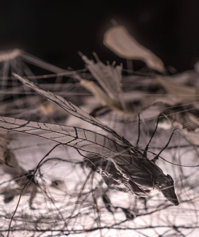 Verk föreställande insekter.
