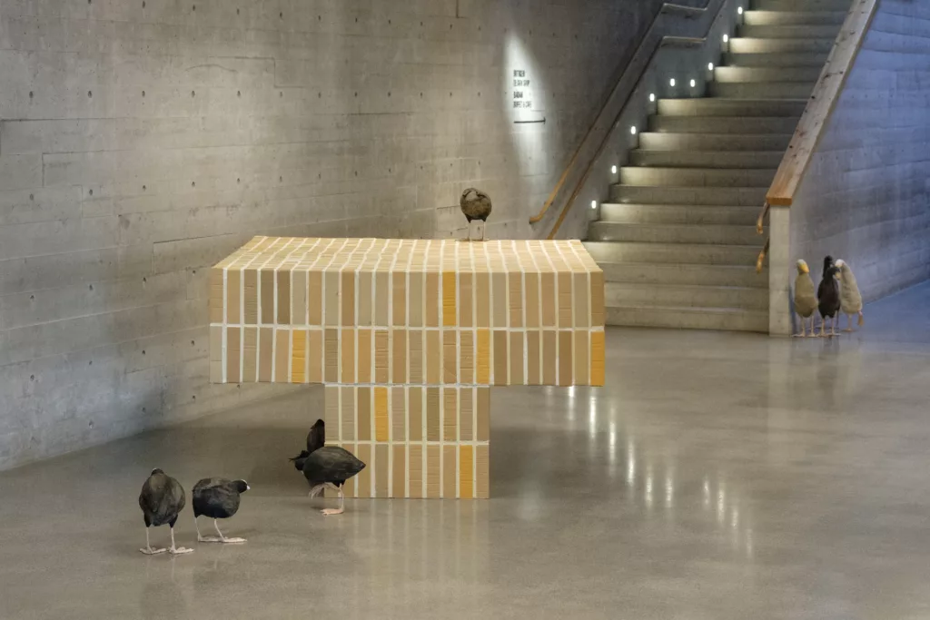 frida-peterson-installationsvy-01-2024